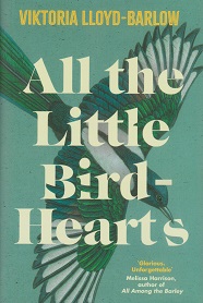 All the Little Bird-Hearts by Viktoria Lloyd.Barlow